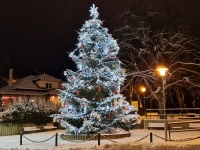 Led světelná sestava na vánoční strom studená bílá a červené a zlaté denní dekorace - varianta 8