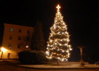 profesionální LED řetěz na vánoční strom HIGH-PROFI 35 LED teplá bílá studená bílá FLASH efekt 5m 