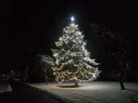 ukázka stromu s LED řetězem teplá + studená bílá